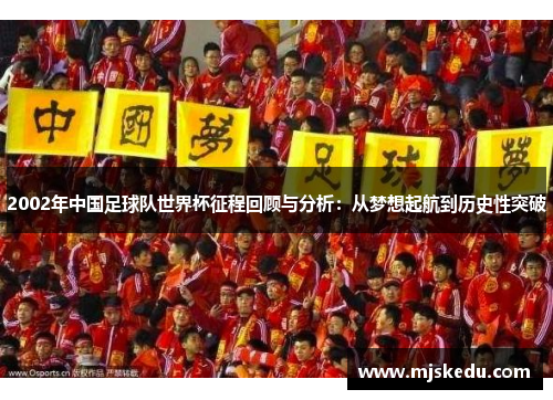 2002年中国足球队世界杯征程回顾与分析：从梦想起航到历史性突破