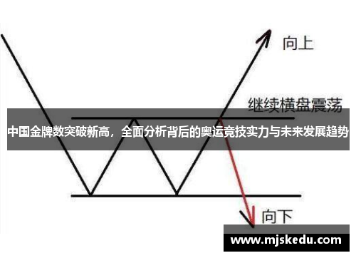 中国金牌数突破新高,全面分析背后的奥运竞技实力与未来发展趋势 中国金牌数突破新高,全面分析背后的奥运竞技实力与未来发展趋势