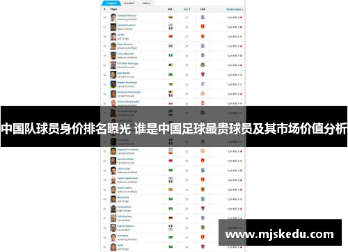 中国队球员身价排名曝光 谁是中国足球最贵球员及其市场价值分析