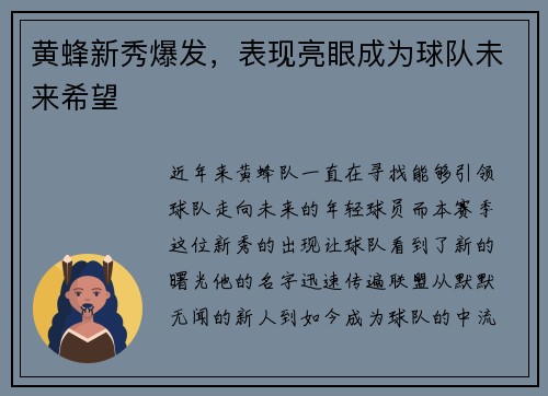 黄蜂新秀爆发，表现亮眼成为球队未来希望